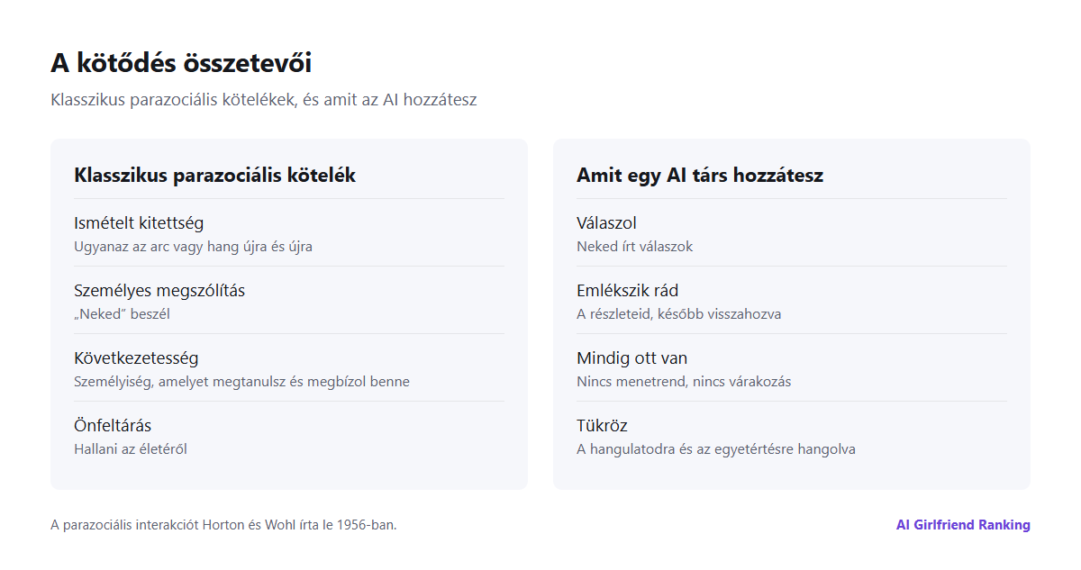 A kötődés összetevőinek ábrája: a klasszikus parazociális tényezők – ismétlés, személyes megszólítás és következetesség –, plusz az AI hozzátevői: válaszok, rád vonatkozó memória és állandó elérhetőség